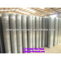 galvanized Welded wire mesh